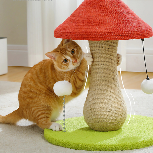 The Ultimate Cat Scratch Guide: From Mushrooms to Monster Towers