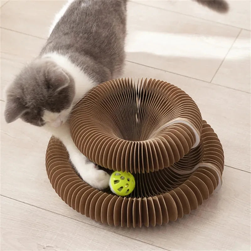 Cat playing with a cardboard tube toy on a wooden floor