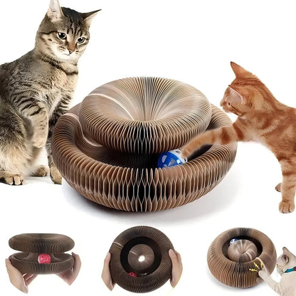 Scratch Spiral