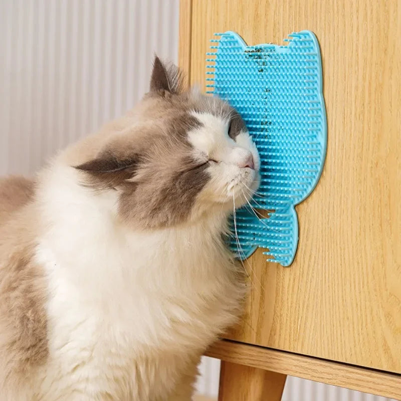 Wall-Mounted Scratch Pad