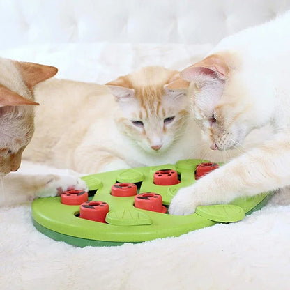 Interactive Cat Treat Puzzle Cat Toy - The Whimsy Forage