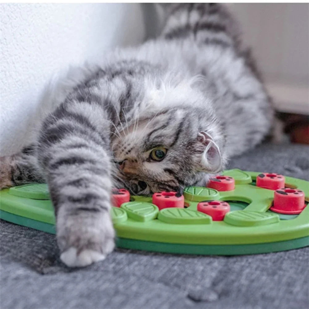 Interactive Cat Treat Puzzle Cat Toy - The Whimsy Forage