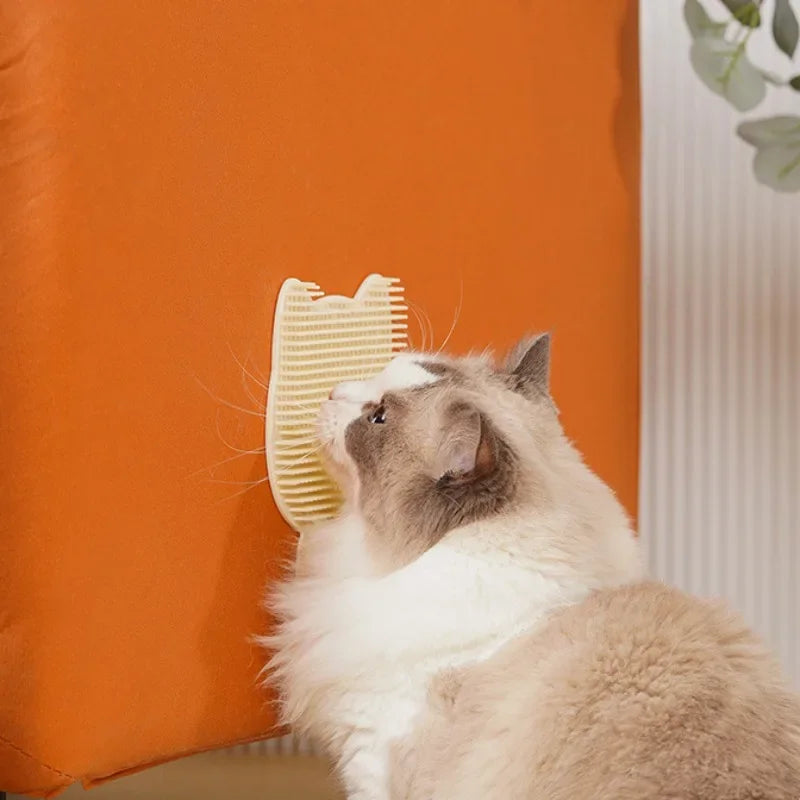 Wall-Mounted Scratch Pad