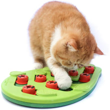 Interactive Cat Treat Puzzle Cat Toy - The Whimsy Forage