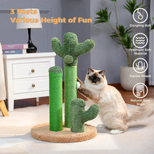 Cactus Cat Scratching Post