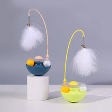 Interactive Tumbler Toy