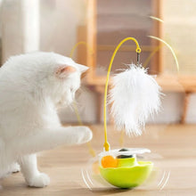 Interactive Tumbler Toy