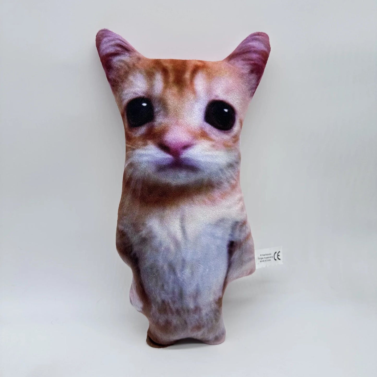 Mr. Pouty Paws