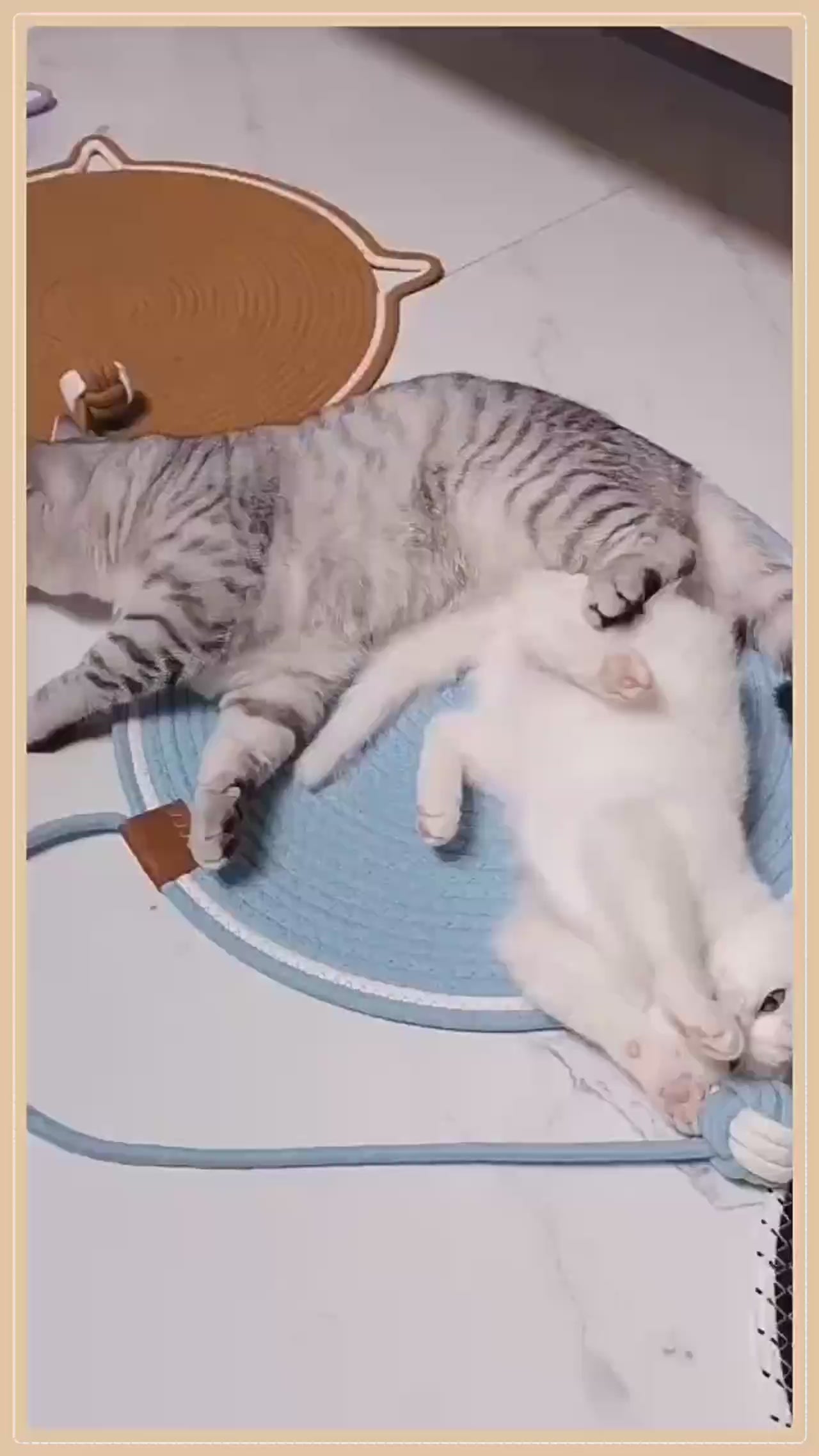 Load video: 